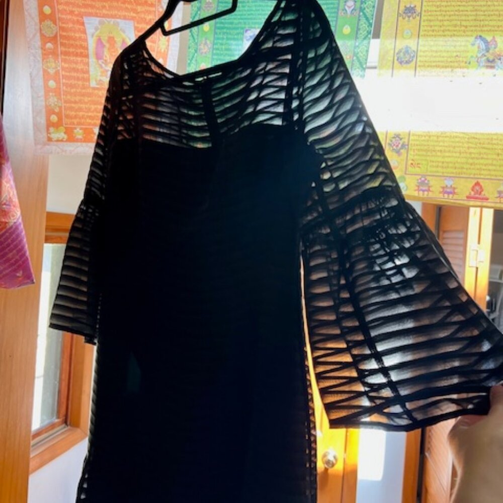 Little Black Dress with Sheer Bell Sleeves